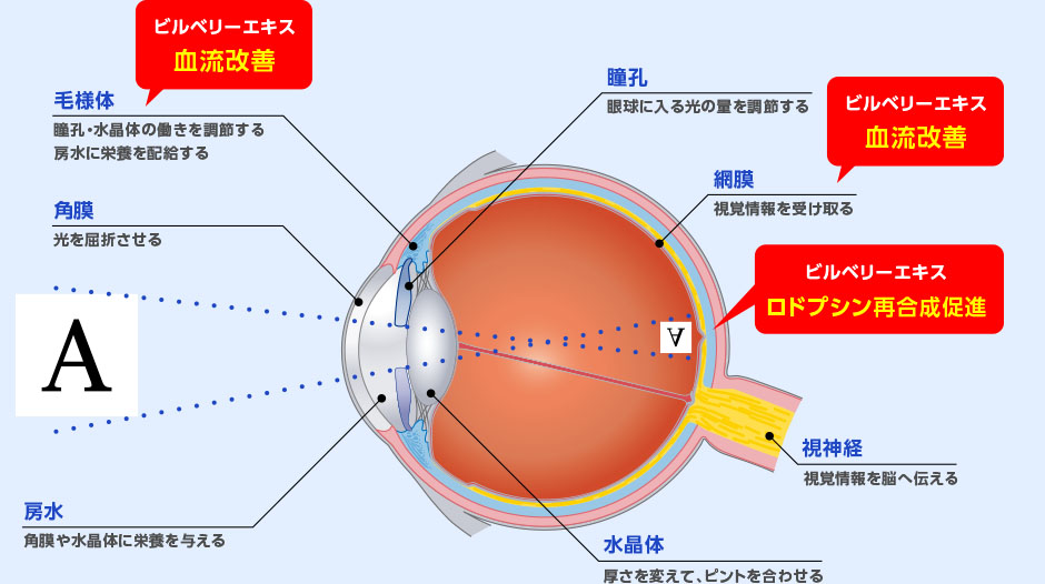 図