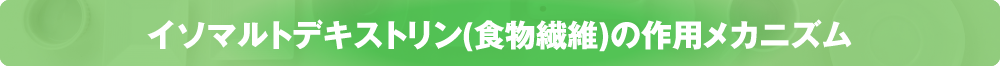 イソマルトデキストリン(食物繊維)の作用メカニズム