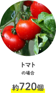 トマトの場合約720個